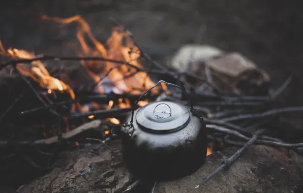 Branches, nature, the dark background, stones, fire, flame, tea, kettle