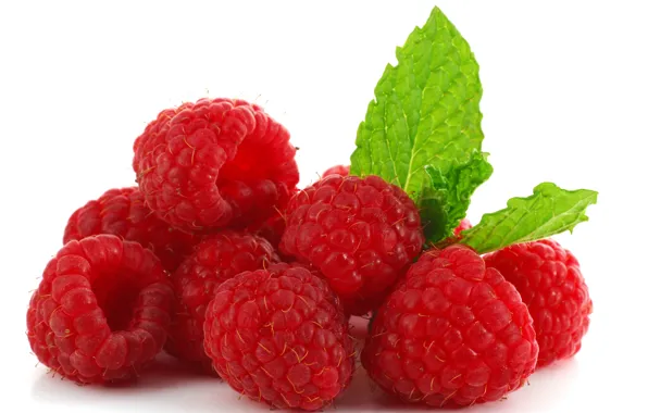 Leaves, berries, raspberry, background