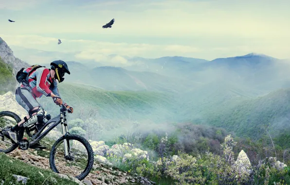 Mountains, birds, bike, people, helmet