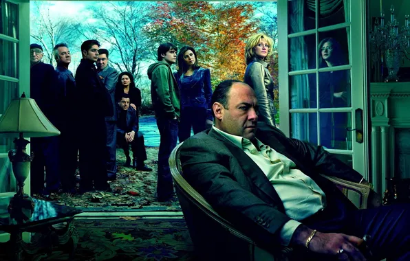 The series, The Sopranos, Sopranos