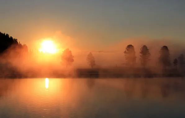 Picture the sky, the sun, trees, sunset, fog, lake