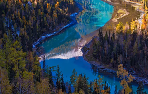 Picture forest, panorama, China, Kanas lake