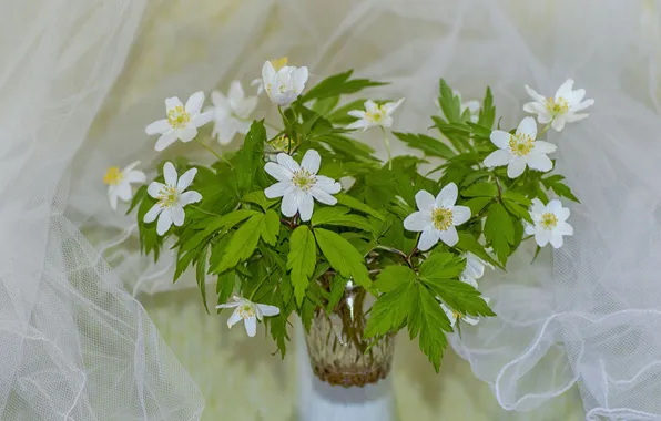 Flowers, bouquet, spring, fabric, vase, light background, a bunch, anemones