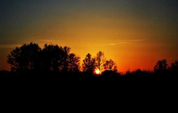 Picture the sun, sunset, the evening