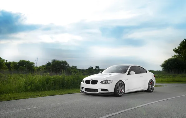 Road, white, the sky, grass, clouds, trees, BMW, wolf