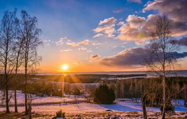Picture winter, road, forest, the sun, trees, sunset, the village