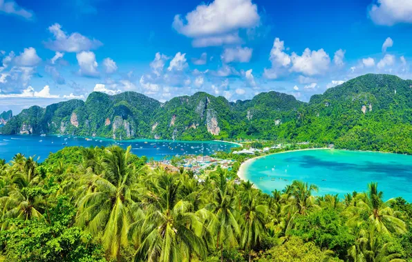 Sea, palm trees, yachts, Thailand, Phi