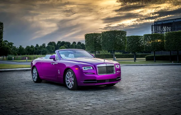 Auto, the sky, trees, the evening, Rolls-Royce, Cabriolet, chic, Luxury
