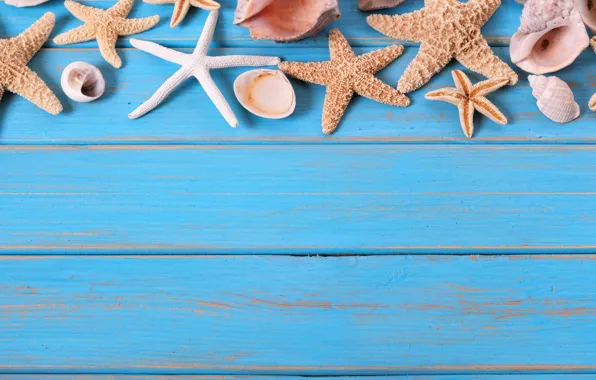 Beach, background, Board, star, shell, summer, beach, wood