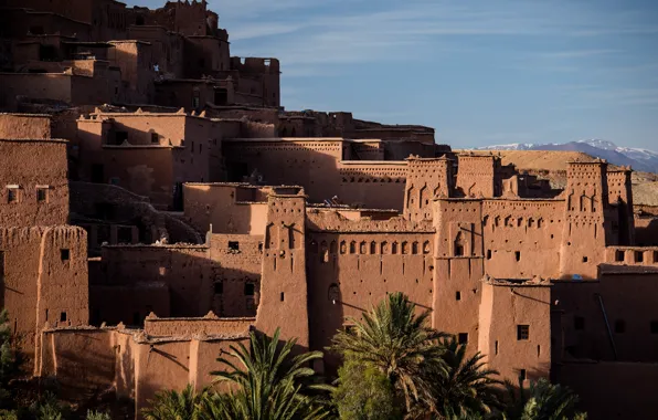 Old, the city, palm trees, building, home, slope, ruins, fortress