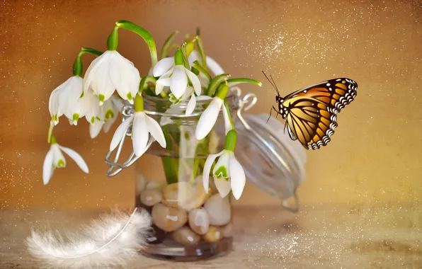 Picture flowers, stones, pen, collage, butterfly, snowdrops, Bank