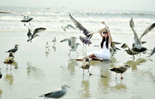 Picture girl, birds, the situation