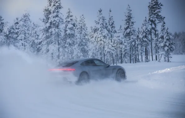 Picture road, snow, trees, grey, Porsche, 2020, Taycan, Taycan 4S