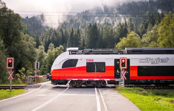 Picture Mountains, Austria, Train, Austria, Moving, The north-eastern Tauernbahn, The Northeastern Tauernbahn line, CityJet