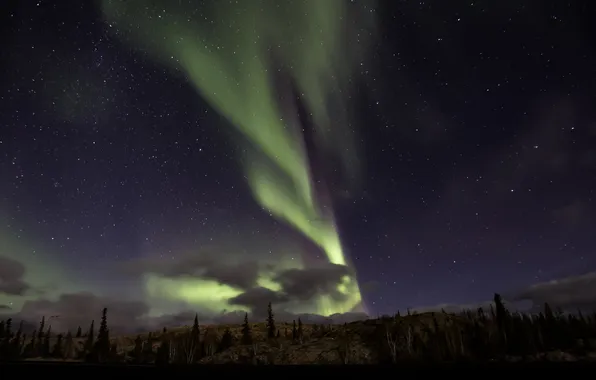 The sky, stars, night, Northern lights