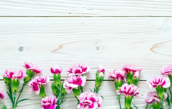 Flowers, Board, pink, clove