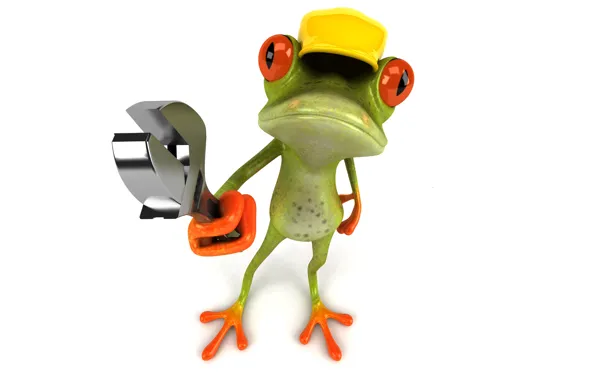 Picture graphics, frog, key, cap, repair, Free frog 3d