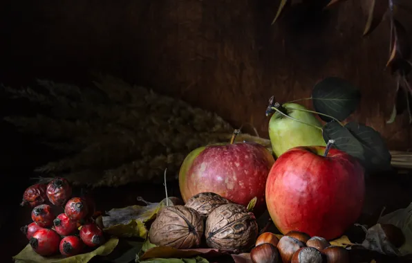 Apples, briar, nuts, still life, hazelnuts, walnut