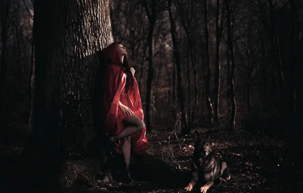Picture forest, girl, dog, cloak, Arya, Laurent KC