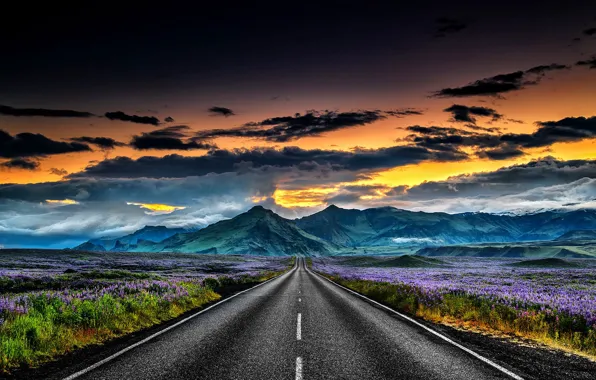 Road, landscapes, Iceland