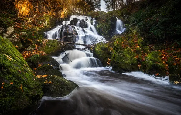 Picture autumn, forest, waterfall, river, Sweden