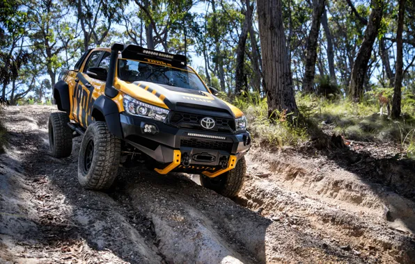 Picture Concept, Tuning, Toyota, Car, Hilux, 2017, Tonka, 2017 Toyota Hilux Tonka Concept
