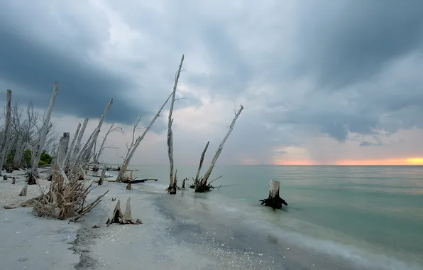 Sea, the sky, landscape