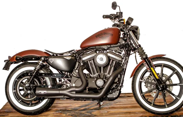 Motorcycle, Harley Davidson, bike, motor bike, Battle of Kings