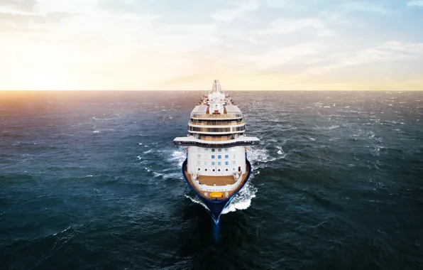 The sky, Sea, Liner, The ship, Passenger, The bridge, Tank, Passenger liner