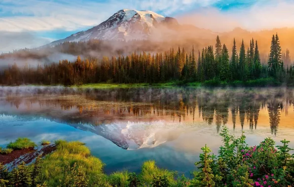 Picture forest, river, landscape, nature, mountains, reflection