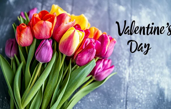 Love, flowers, romance, bouquet, colorful, tulips, love, happy