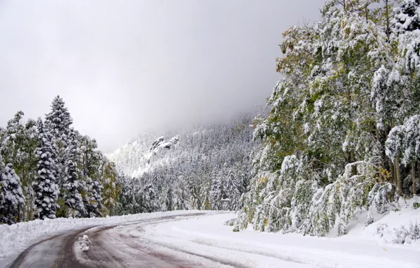 Winter, road, the sky, snow, trees, turn