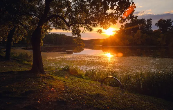 Picture autumn, the sun, light, trees, sunset, branches, lake, pond