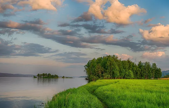 Picture greens, summer, the sky, grass, clouds, trees, river, shore
