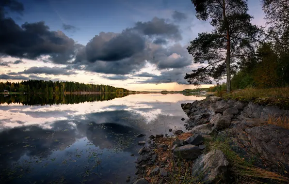 Picture forest, clouds, reflection, river, the evening