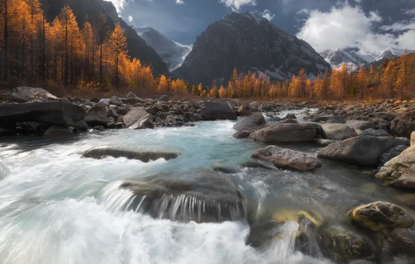 Autumn, forest, trees, mountains, river, stones, Russia, Siberia