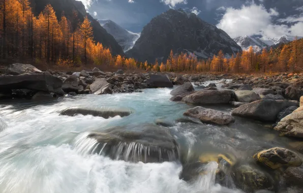 Picture autumn, forest, trees, mountains, river, stones, Russia, Siberia