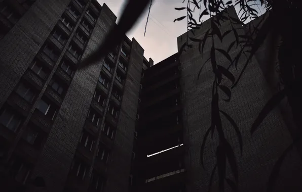 Tree, High-rise building, Black lingerie, Leaves