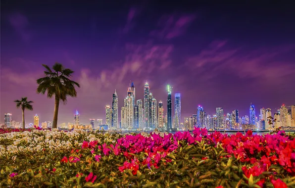 Sunset, flowers, palm trees, building, Dubai, night city, Dubai, skyscrapers