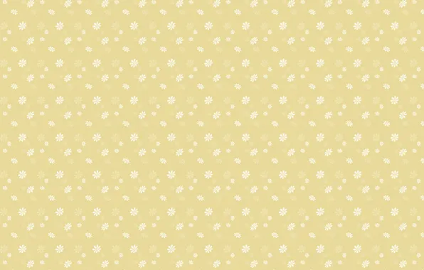 Picture white, flowers, yellow, background