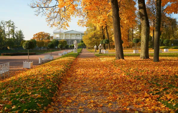 The city, Park, foliage, architecture, alley, sculpture, Pushkin, Tsarskoye Selo
