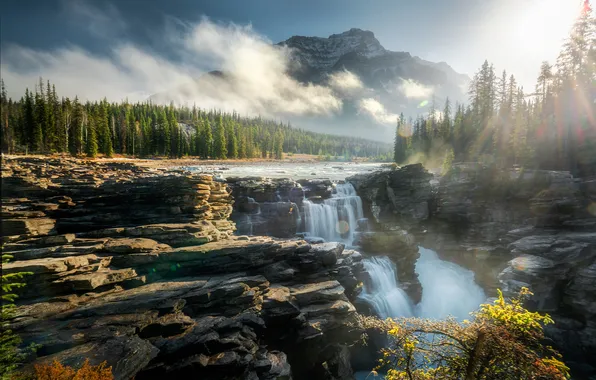 Autumn, forest, the sun, rays, light, mountains, fog, stones