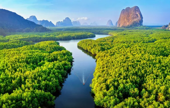 Picture forest, mountains, river, rocks, shore, boat, the