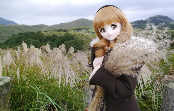 Picture nature, toy, doll