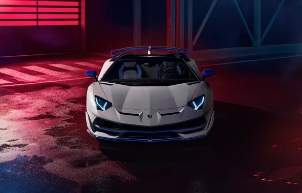 Lamborghini, roadster, aventador, condominium, xago