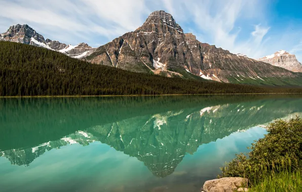 Greens, forest, the sky, clouds, landscape, mountains, nature, green