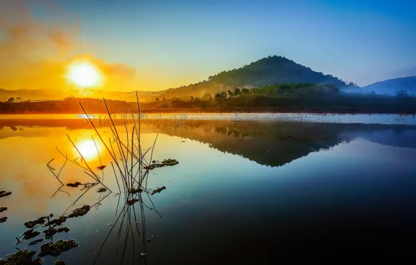 Picture the sky, the sun, sunset, mountains, lake, plant