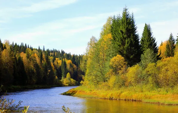 Autumn, forest, trees, river, shore, Russia, Perm Krai