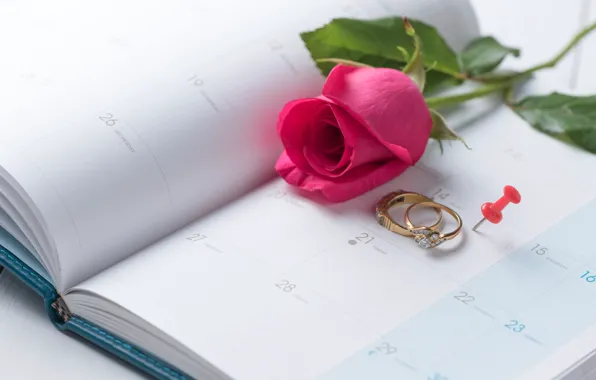 Holiday, rose, ring, Valentine's day, the indicators
