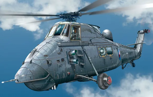 UK, Westland Wessex, Raf, royal navy, transport helicopter, Tiziano Gollini, multi-purpose helicopter, Wessex HAS.3